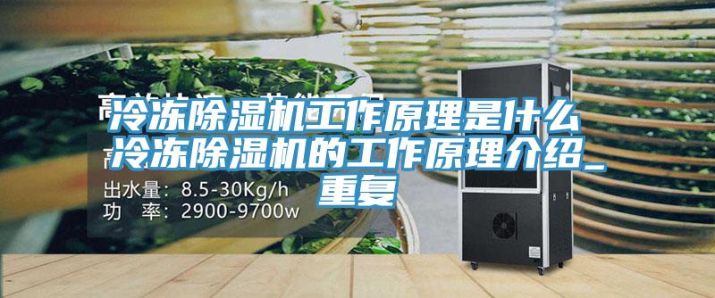 冷凍除濕機工作原理是什么 冷凍除濕機的工作原理介紹_重復(fù)