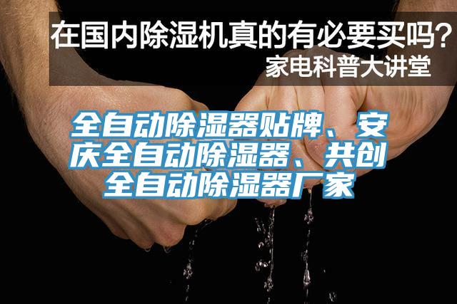 全自動(dòng)除濕器貼牌、安慶全自動(dòng)除濕器、共創(chuàng)全自動(dòng)除濕器廠家