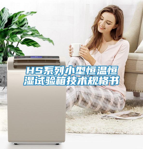 HS系列小型恒溫恒濕試驗(yàn)箱技術(shù)規(guī)格書