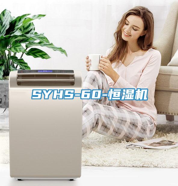 SYHS-60-恒濕機(jī)