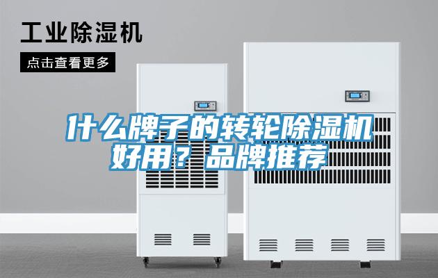 什么牌子的轉(zhuǎn)輪除濕機好用？品牌推薦