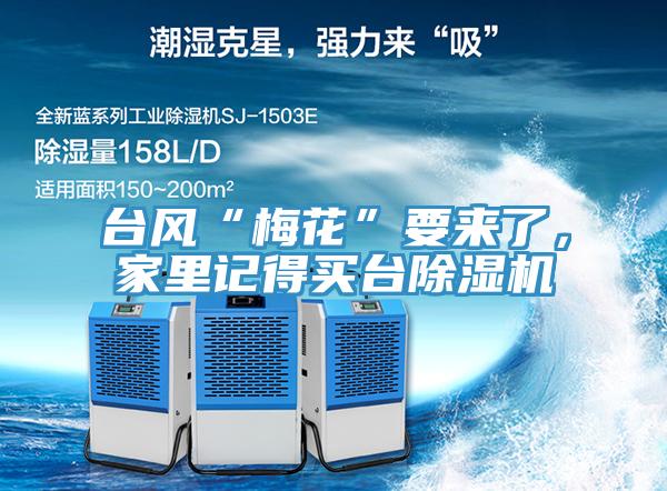 臺風“梅花”要來了，家里記得買臺除濕機