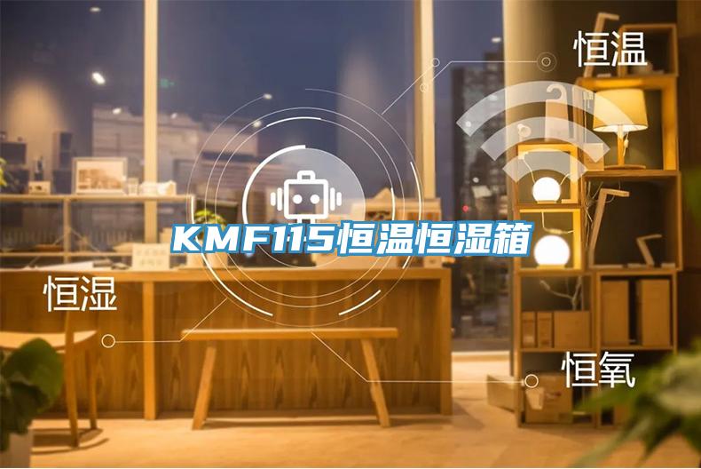 KMF115恒溫恒濕箱