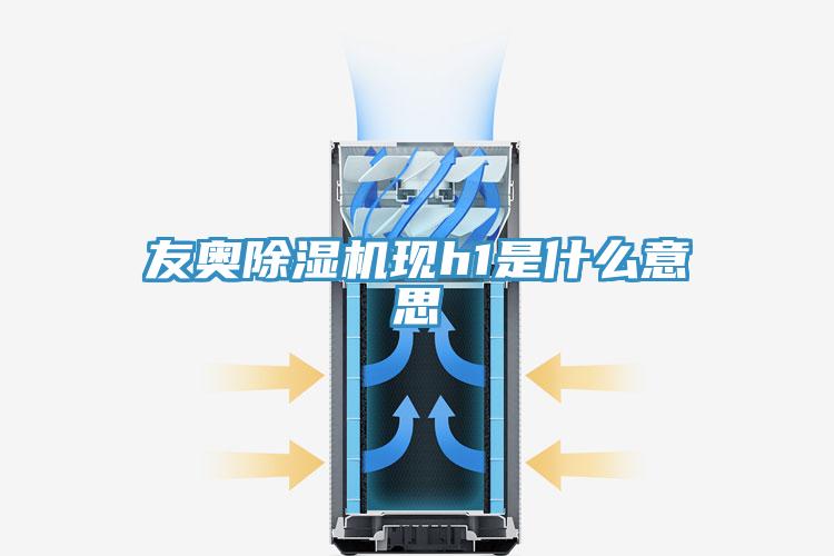 友奧除濕機現(xiàn)h1是什么意思