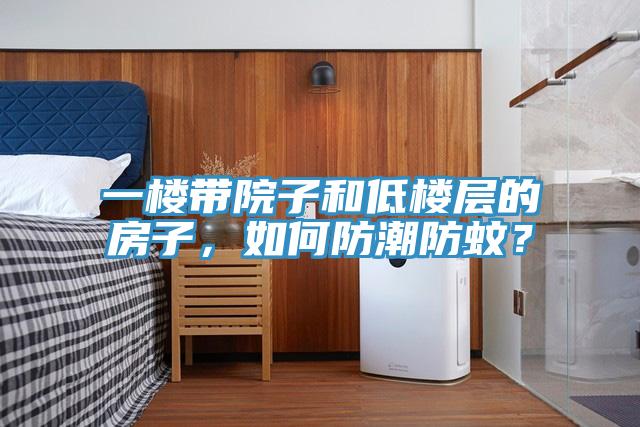一樓帶院子和低樓層的房子，如何防潮防蚊？