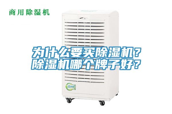 為什么要買除濕機(jī)？除濕機(jī)哪個牌子好？