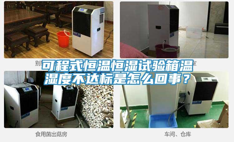 可程式恒溫恒濕試驗箱溫濕度不達(dá)標(biāo)是怎么回事？