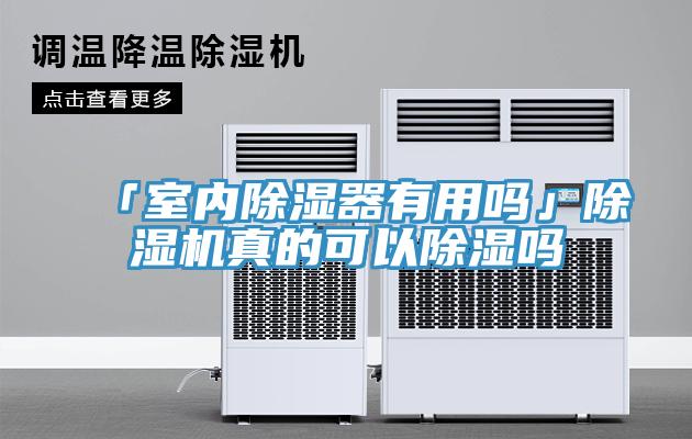「室內(nèi)除濕器有用嗎」除濕機真的可以除濕嗎