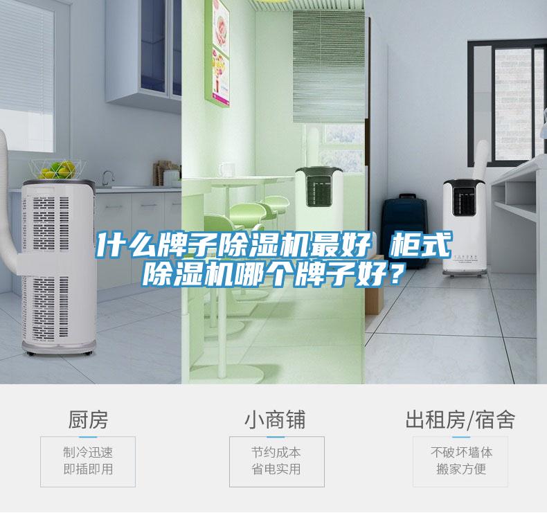 什么牌子除濕機(jī)最好 柜式除濕機(jī)哪個(gè)牌子好？