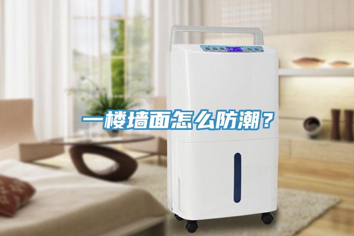 一樓墻面怎么防潮？