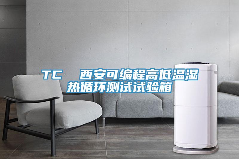 TC  西安可編程高低溫濕熱循環(huán)測(cè)試試驗(yàn)箱