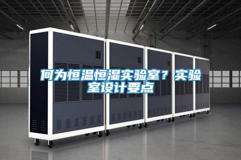 何為恒溫恒濕實(shí)驗(yàn)室？實(shí)驗(yàn)室設(shè)計(jì)要點(diǎn)