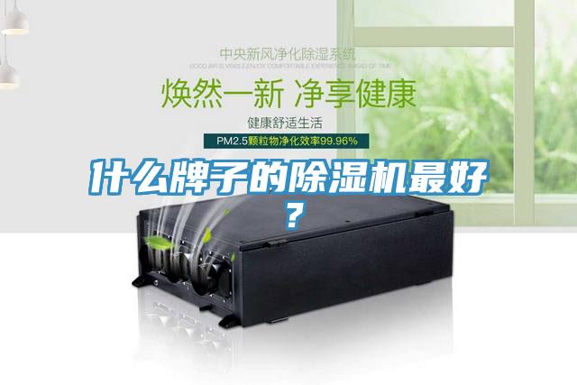 什么牌子的除濕機(jī)最好？