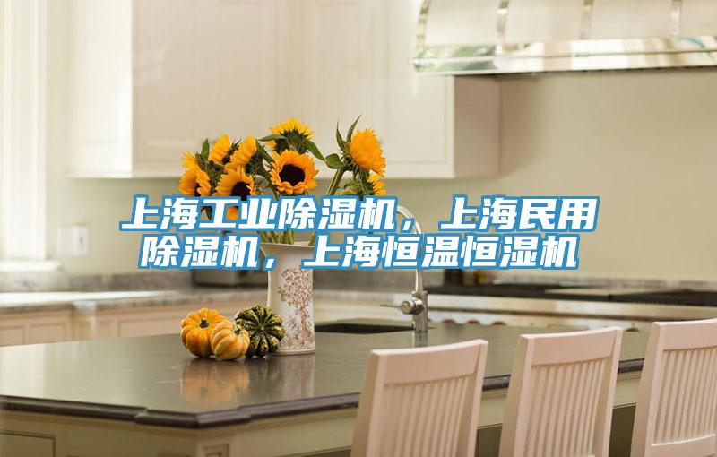 上海工業(yè)除濕機(jī)，上海民用除濕機(jī)，上海恒溫恒濕機(jī)