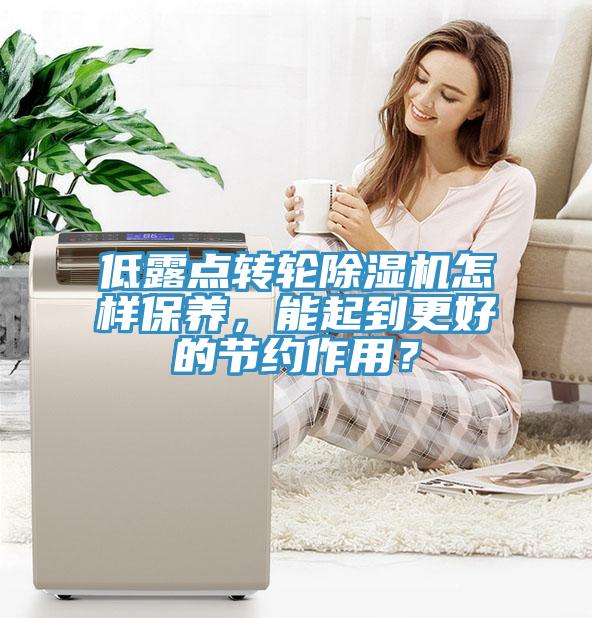 低露點轉(zhuǎn)輪除濕機怎樣保養(yǎng)，能起到更好的節(jié)約作用？