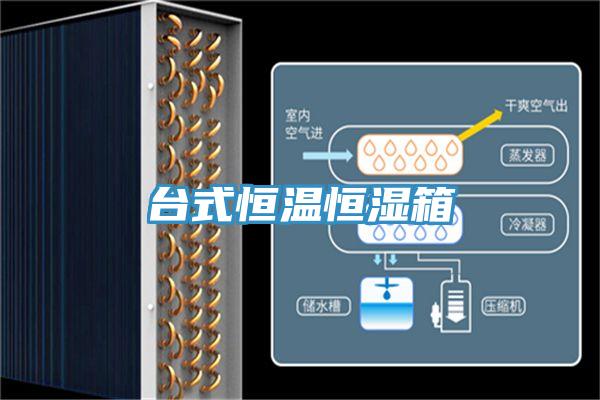 臺(tái)式恒溫恒濕箱