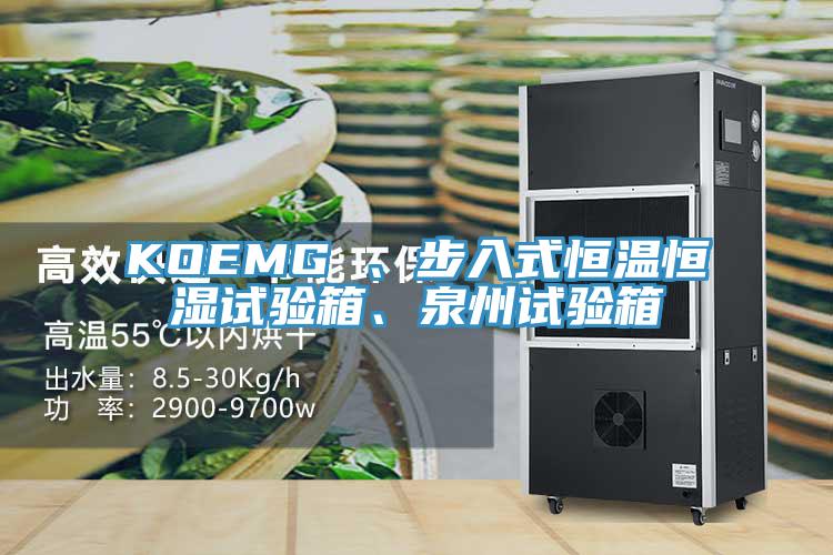 KOEMG 、步入式恒溫恒濕試驗箱、泉州試驗箱