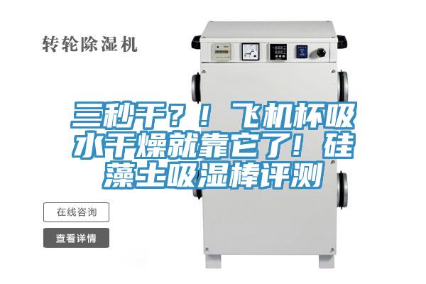 三秒干？! 飛機(jī)杯吸水干燥就靠它了! 硅藻土吸濕棒評(píng)測