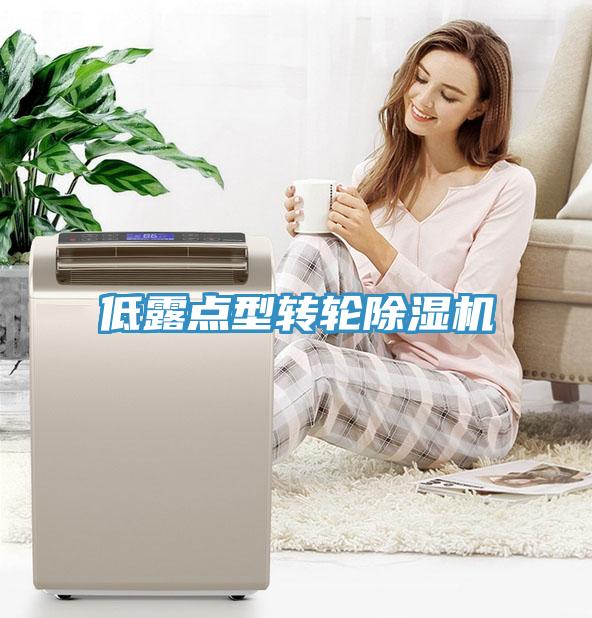 低露點型轉(zhuǎn)輪除濕機