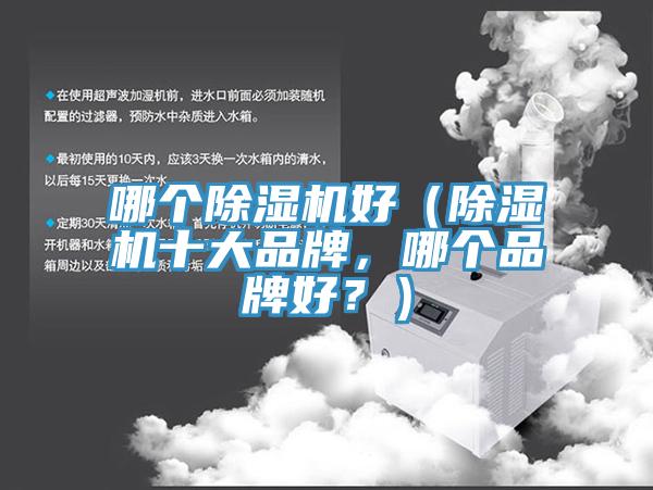哪個除濕機(jī)好（除濕機(jī)十大品牌，哪個品牌好？）