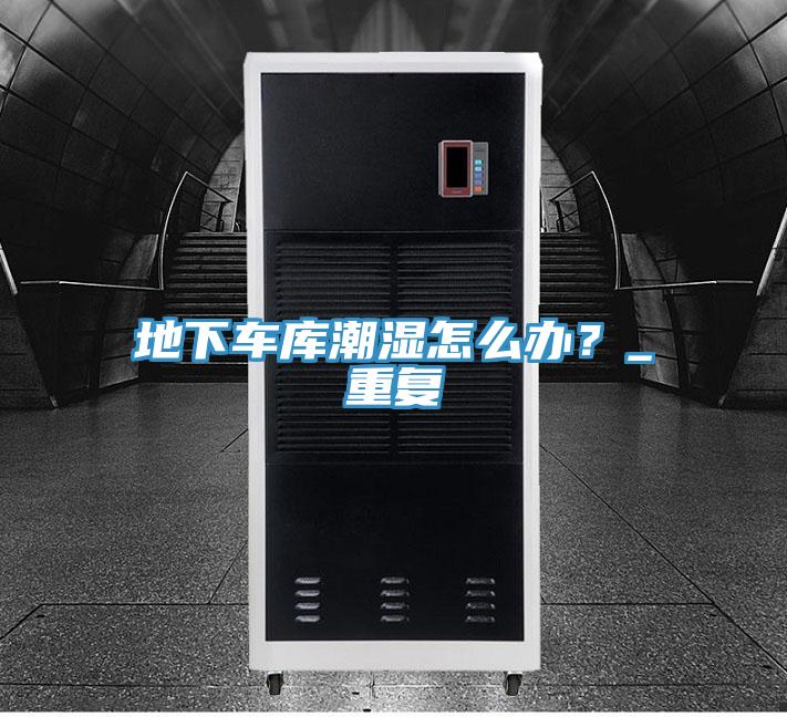 地下車(chē)庫(kù)潮濕怎么辦？_重復(fù)