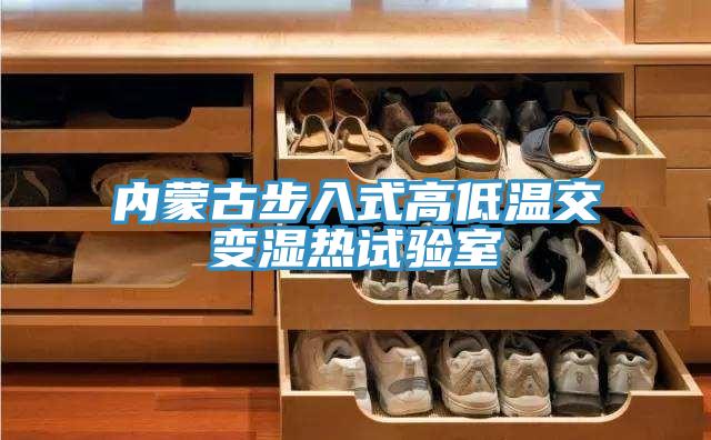內(nèi)蒙古步入式高低溫交變濕熱試驗(yàn)室