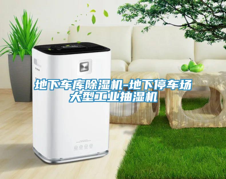 地下車庫除濕機(jī)-地下停車場大型工業(yè)抽濕機(jī)