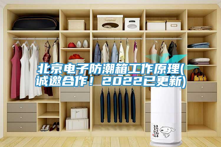北京電子防潮箱工作原理(誠(chéng)邀合作！2022已更新)