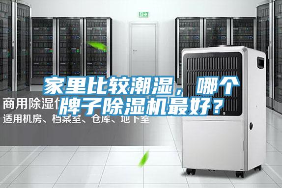 家里比較潮濕，哪個牌子除濕機(jī)最好？