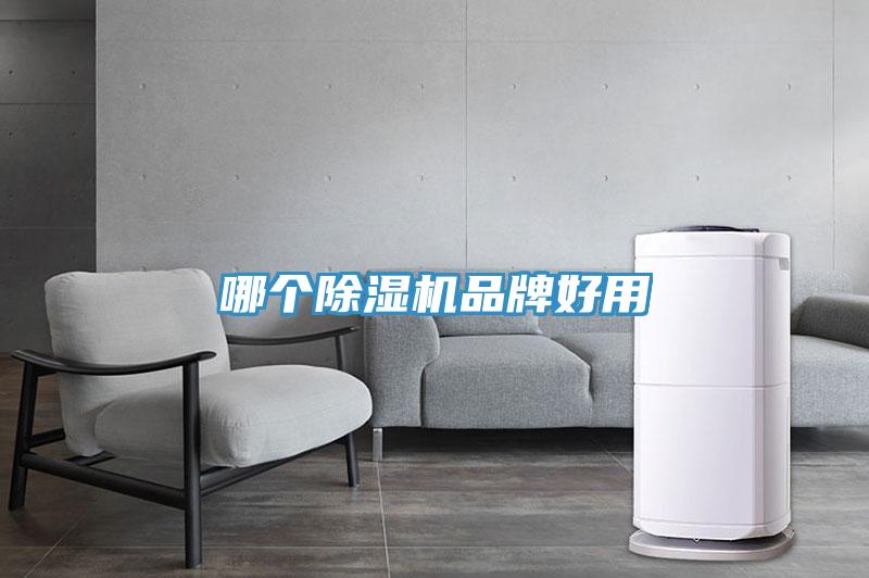 哪個除濕機(jī)品牌好用