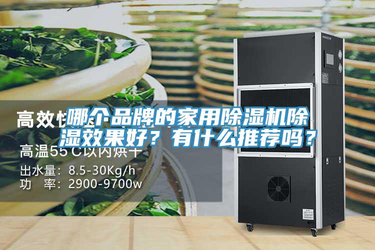 哪個品牌的家用除濕機(jī)除濕效果好？有什么推薦嗎？
