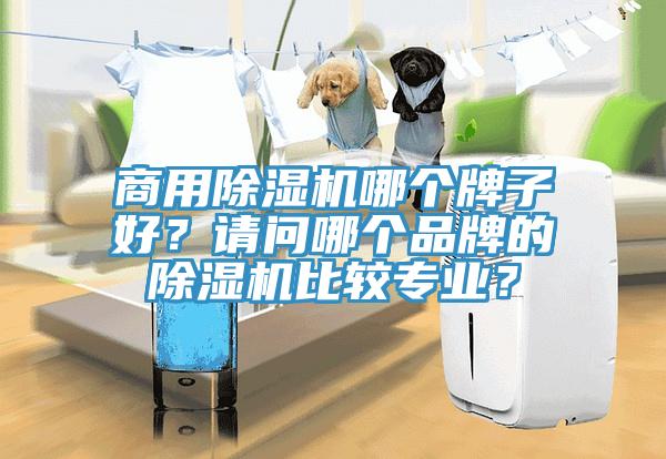 商用除濕機哪個牌子好？請問哪個品牌的除濕機比較專業(yè)？