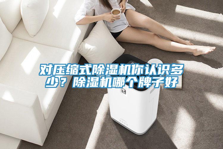 對壓縮式除濕機你認識多少？除濕機哪個牌子好
