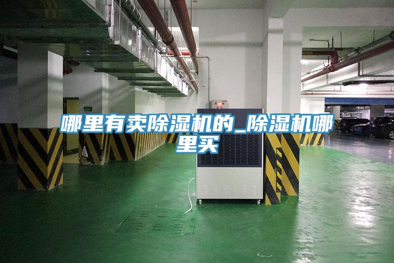 哪里有賣除濕機(jī)的_除濕機(jī)哪里買