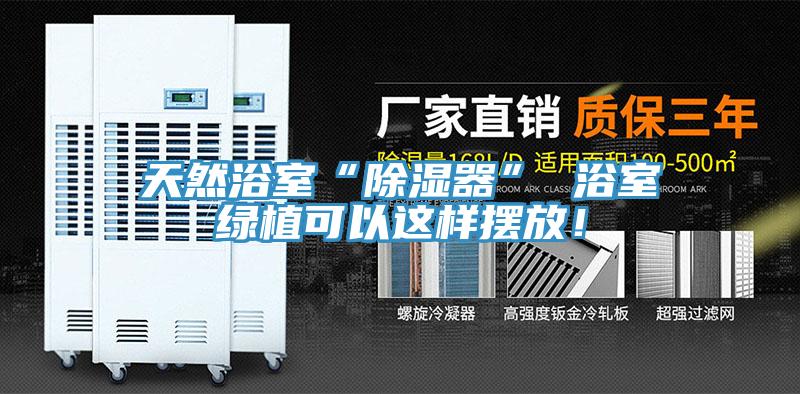 天然浴室“除濕器” 浴室綠植可以這樣擺放！
