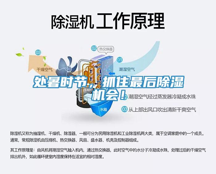 處暑時(shí)節(jié)，抓住最后除濕機(jī)會(huì)！