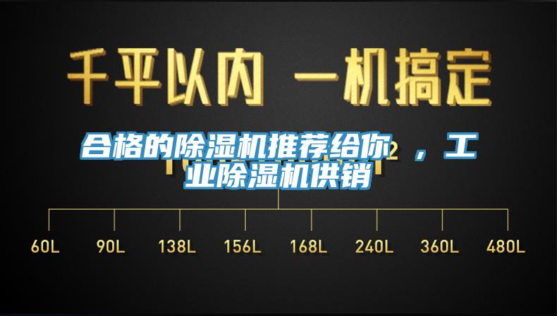 合格的除濕機推薦給你 ，工業(yè)除濕機供銷