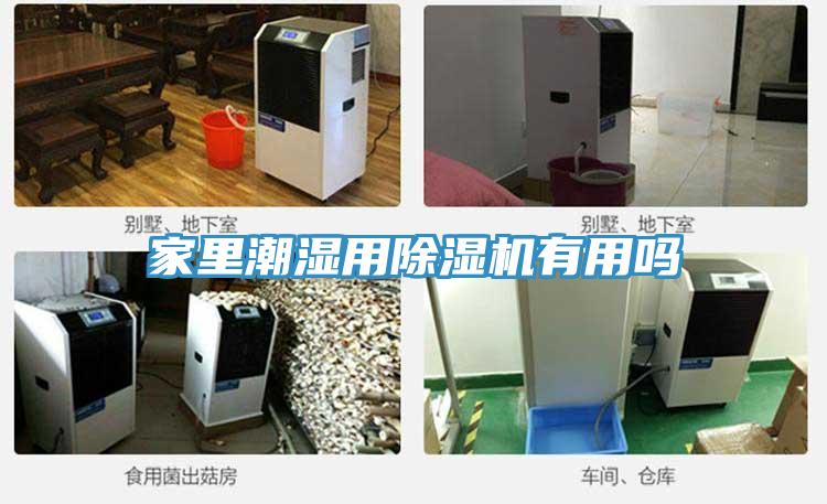家里潮濕用除濕機(jī)有用嗎