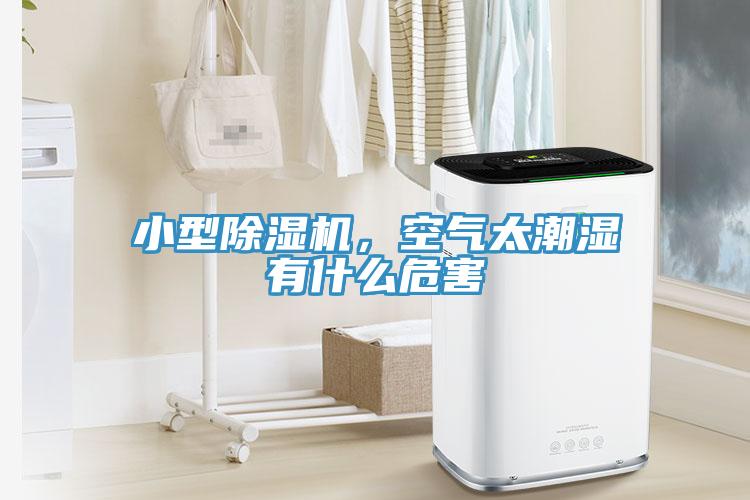 小型除濕機(jī)，空氣太潮濕有什么危害