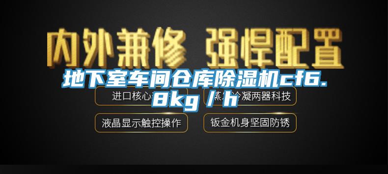地下室車間倉(cāng)庫(kù)除濕機(jī)cf6.8kg／h