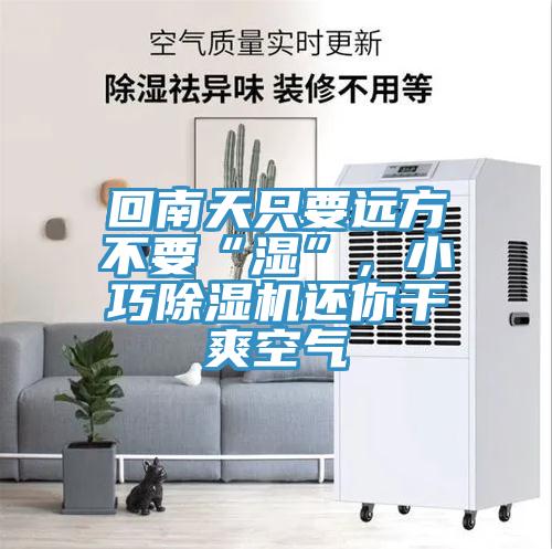回南天只要遠方不要“濕”，小巧除濕機還你干爽空氣