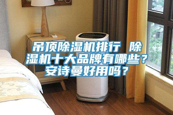 吊頂除濕機(jī)排行 除濕機(jī)十大品牌有哪些？安詩(shī)曼好用嗎？