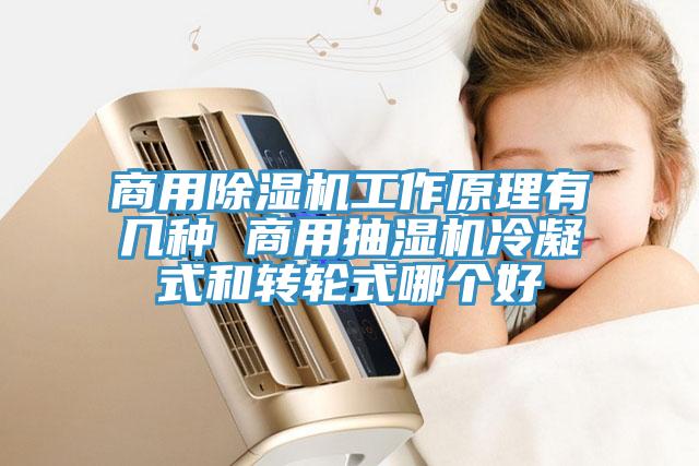 商用除濕機工作原理有幾種 商用抽濕機冷凝式和轉輪式哪個好