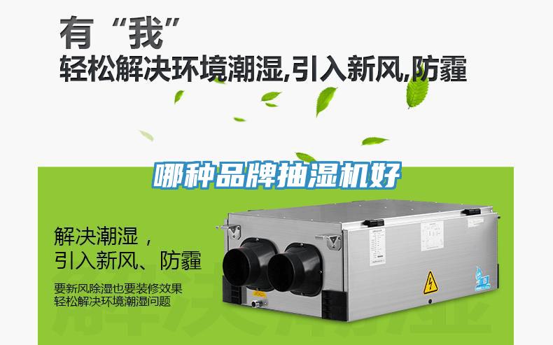 哪種品牌抽濕機(jī)好
