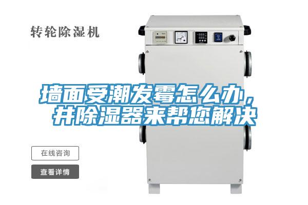 墻面受潮發(fā)霉怎么辦，東井除濕器來幫您解決
