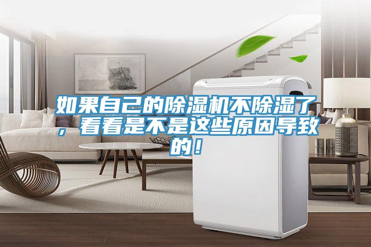 如果自己的除濕機不除濕了，看看是不是這些原因?qū)е碌模?></div>
								<div   id=