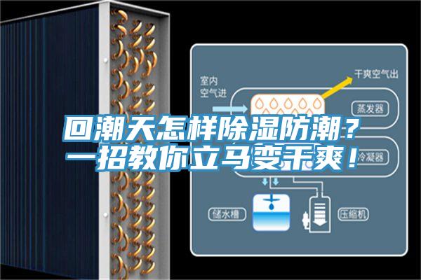 回潮天怎樣除濕防潮？一招教你立馬變干爽！