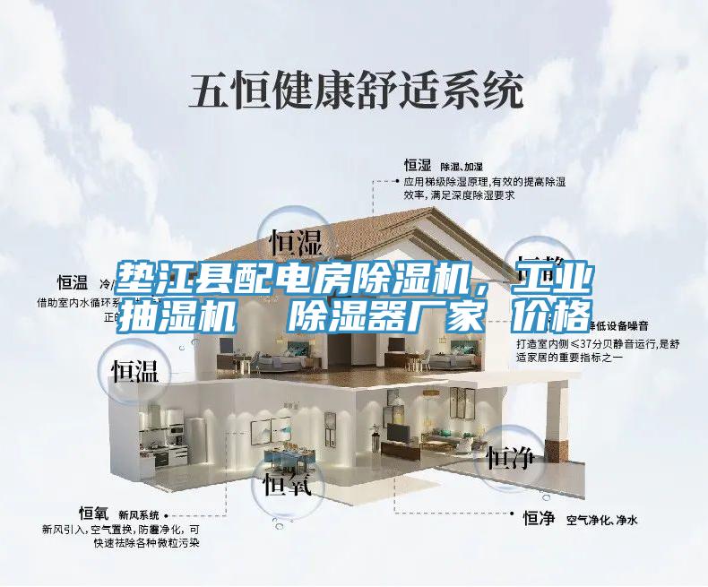 墊江縣配電房除濕機，工業(yè)抽濕機  除濕器廠家 價格