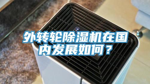 外轉(zhuǎn)輪除濕機(jī)在國內(nèi)發(fā)展如何？