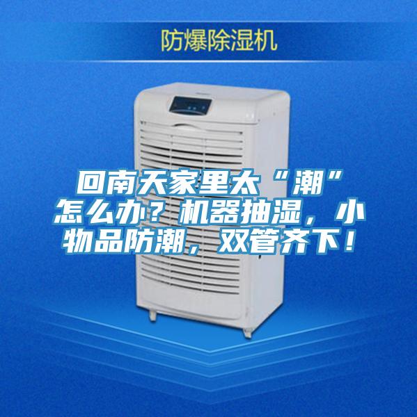 回南天家里太“潮”怎么辦？機(jī)器抽濕，小物品防潮，雙管齊下！